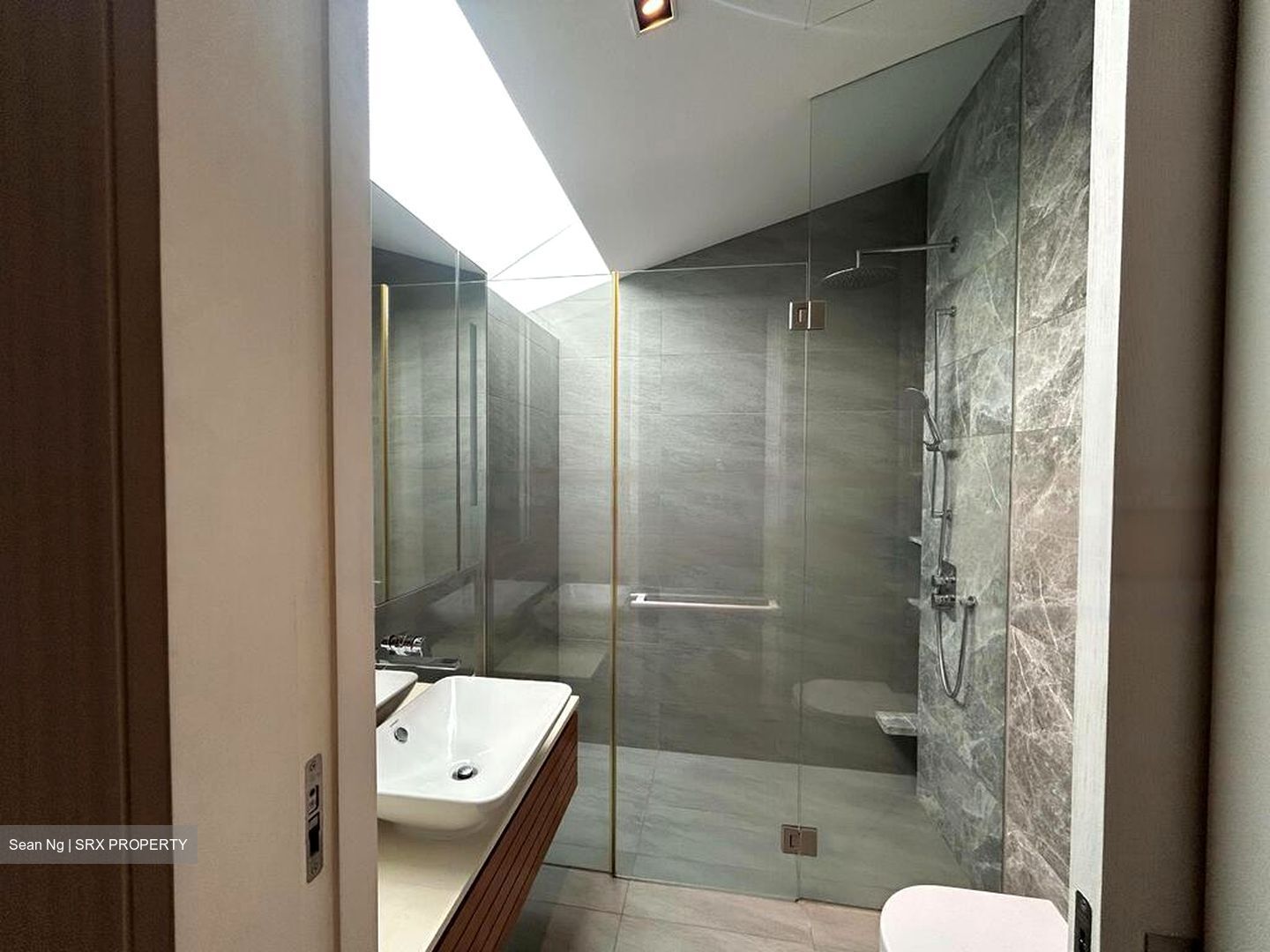 Bukit Timah Road (D10), Semi-Detached #454518051